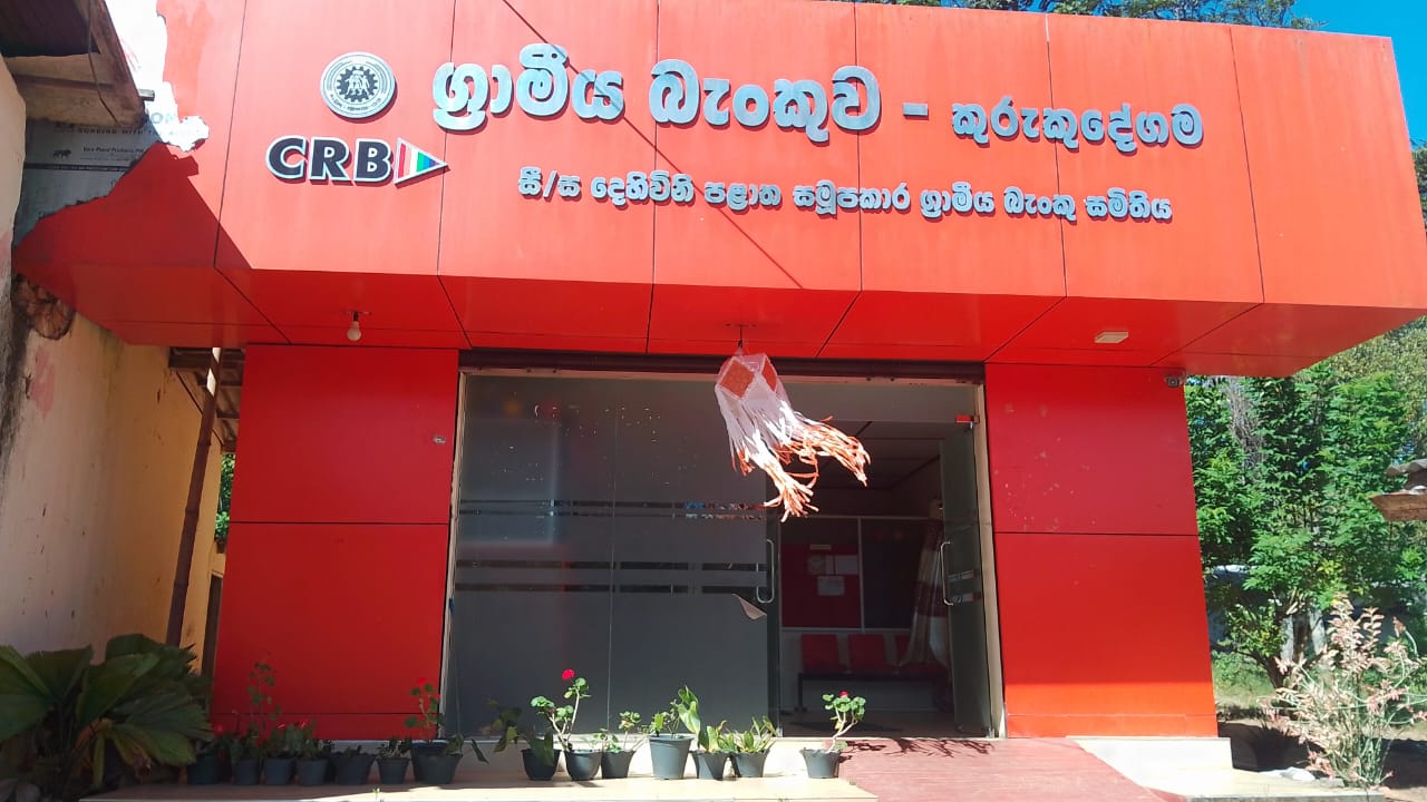 Branch 2