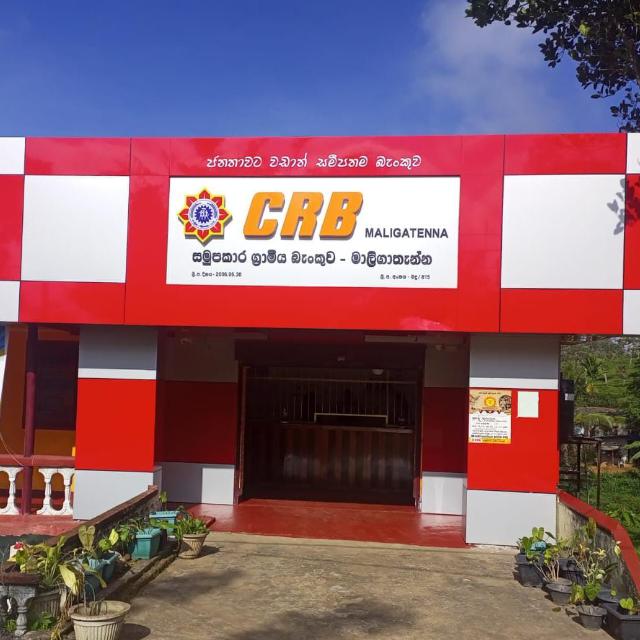 Branch 3