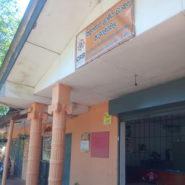 Branch 8